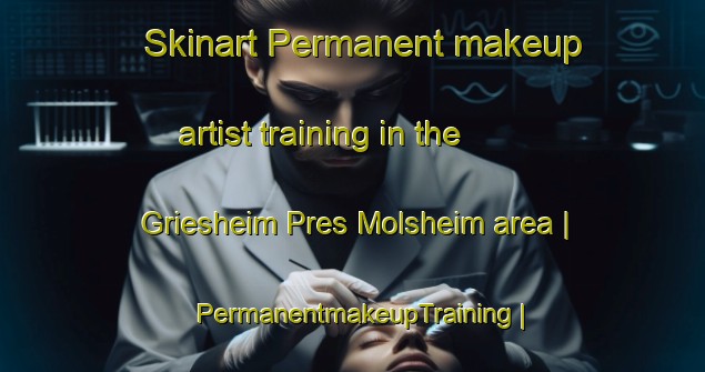 Skinart Permanent makeup artist training in the Griesheim Pres Molsheim area | PermanentmakeupTraining | PermanentmakeupClasses | SkinartTraining-France